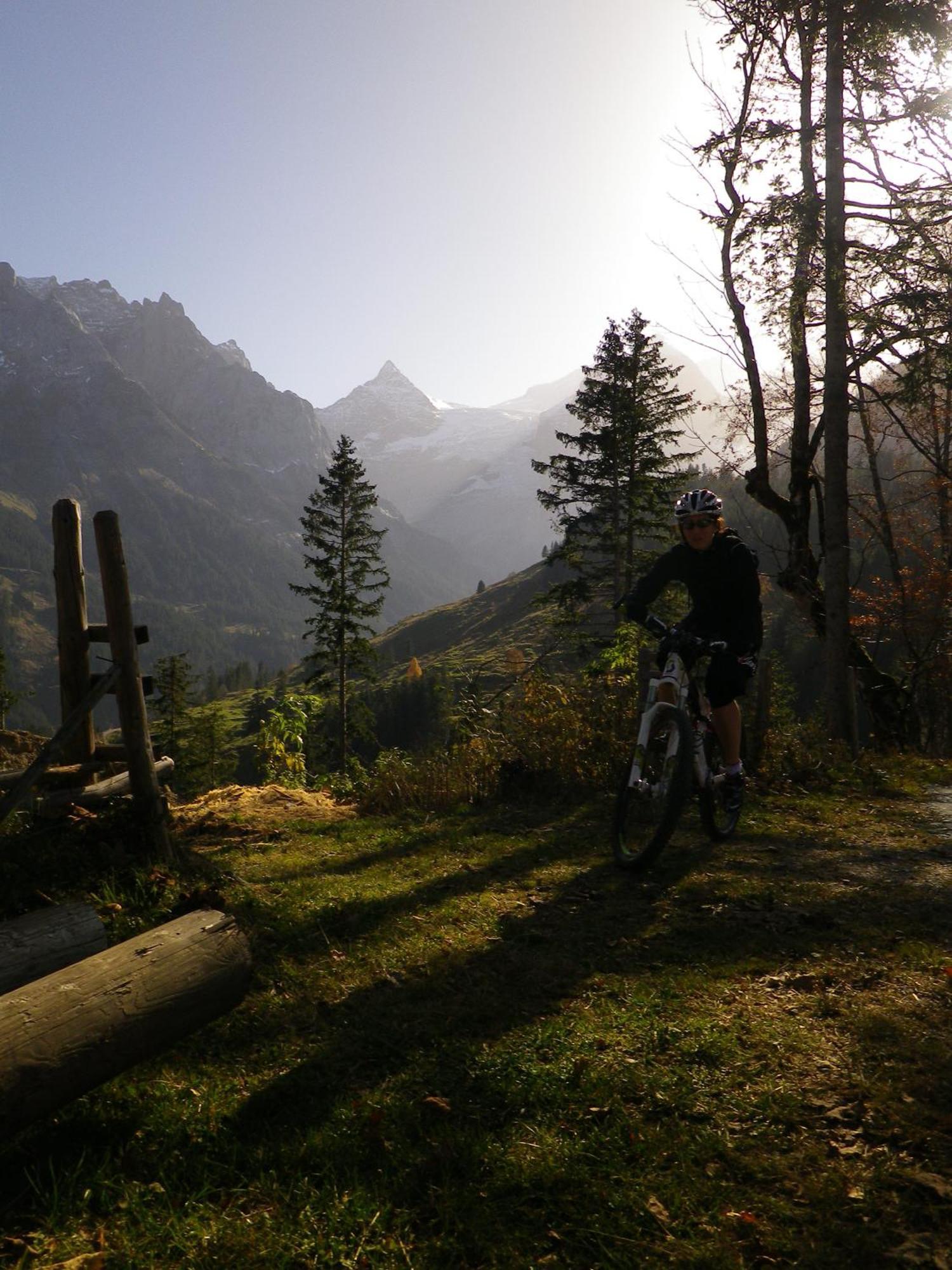 Alpenlodge Willigen Экстерьер фото