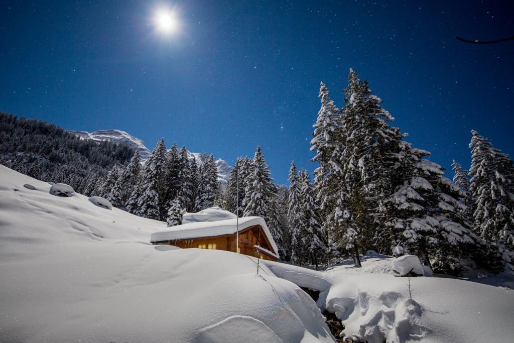Alpenlodge Willigen Экстерьер фото