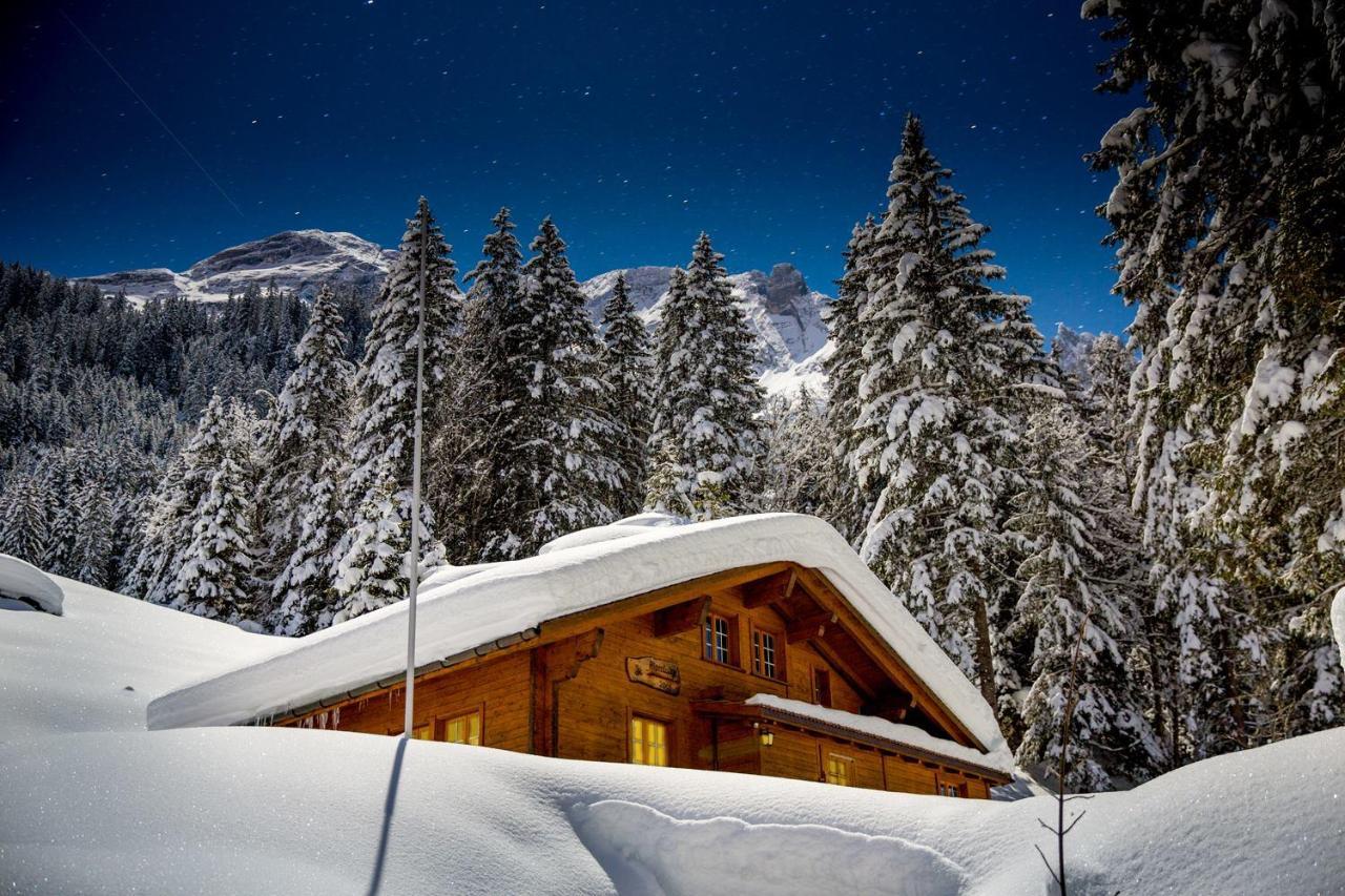 Alpenlodge Willigen Экстерьер фото