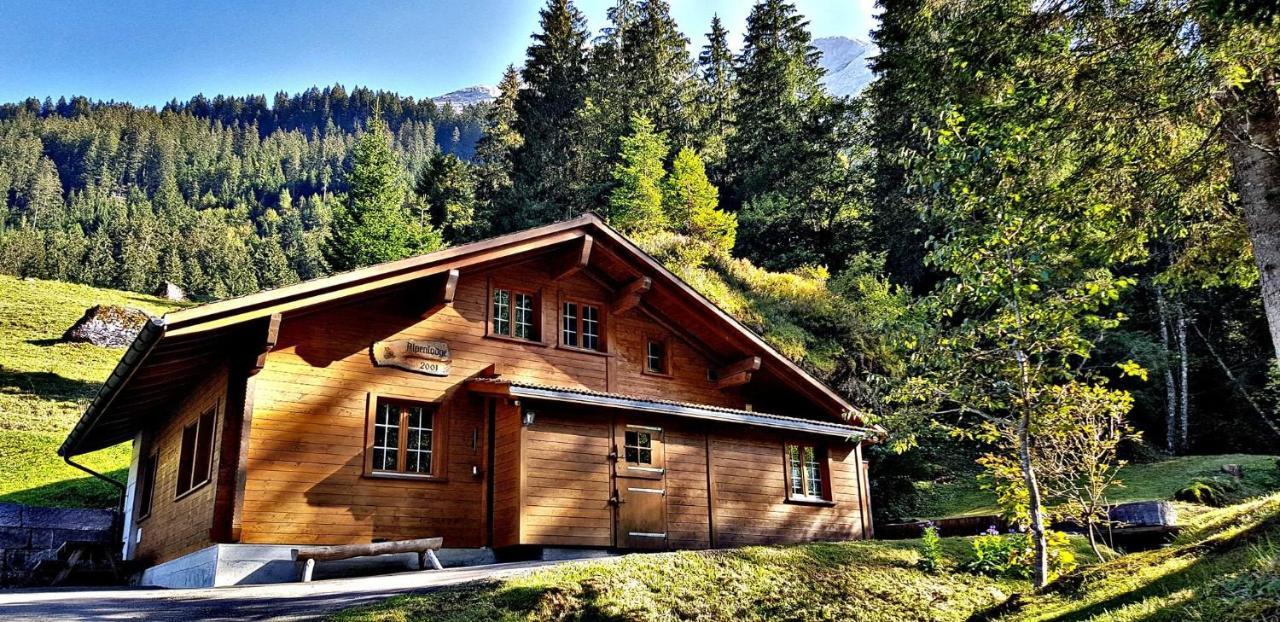 Alpenlodge Willigen Экстерьер фото
