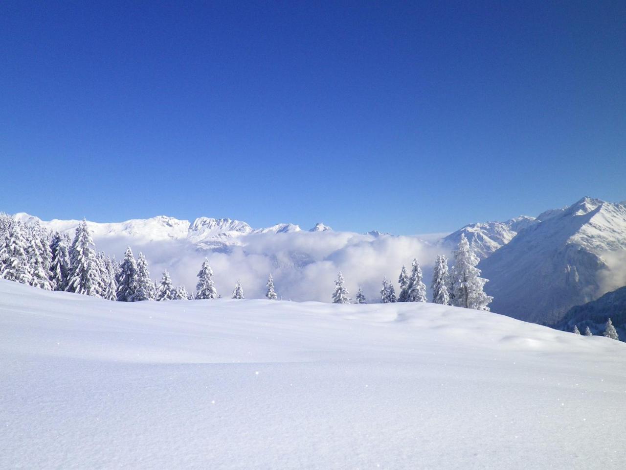 Alpenlodge Willigen Экстерьер фото