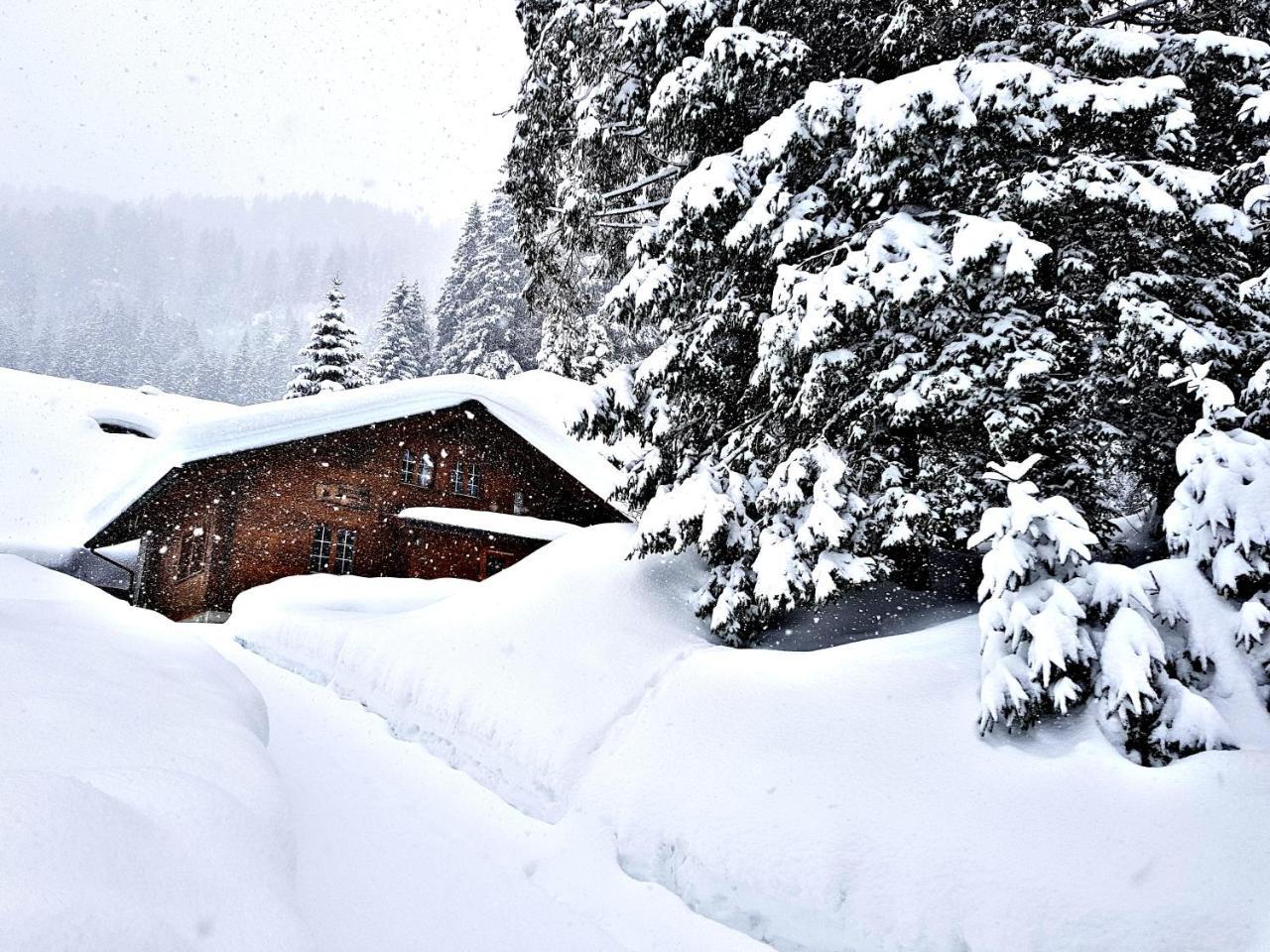 Alpenlodge Willigen Экстерьер фото