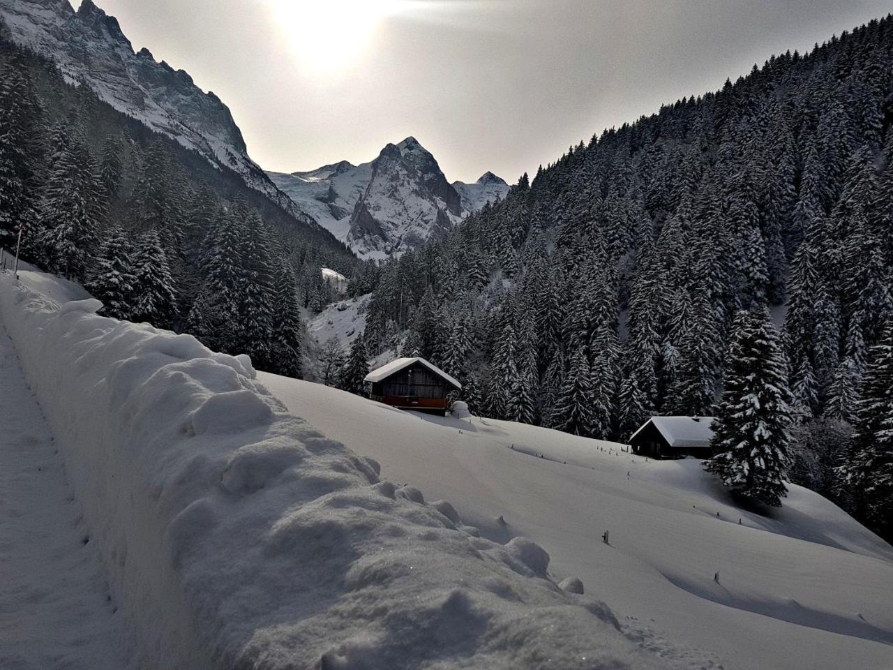 Alpenlodge Willigen Экстерьер фото