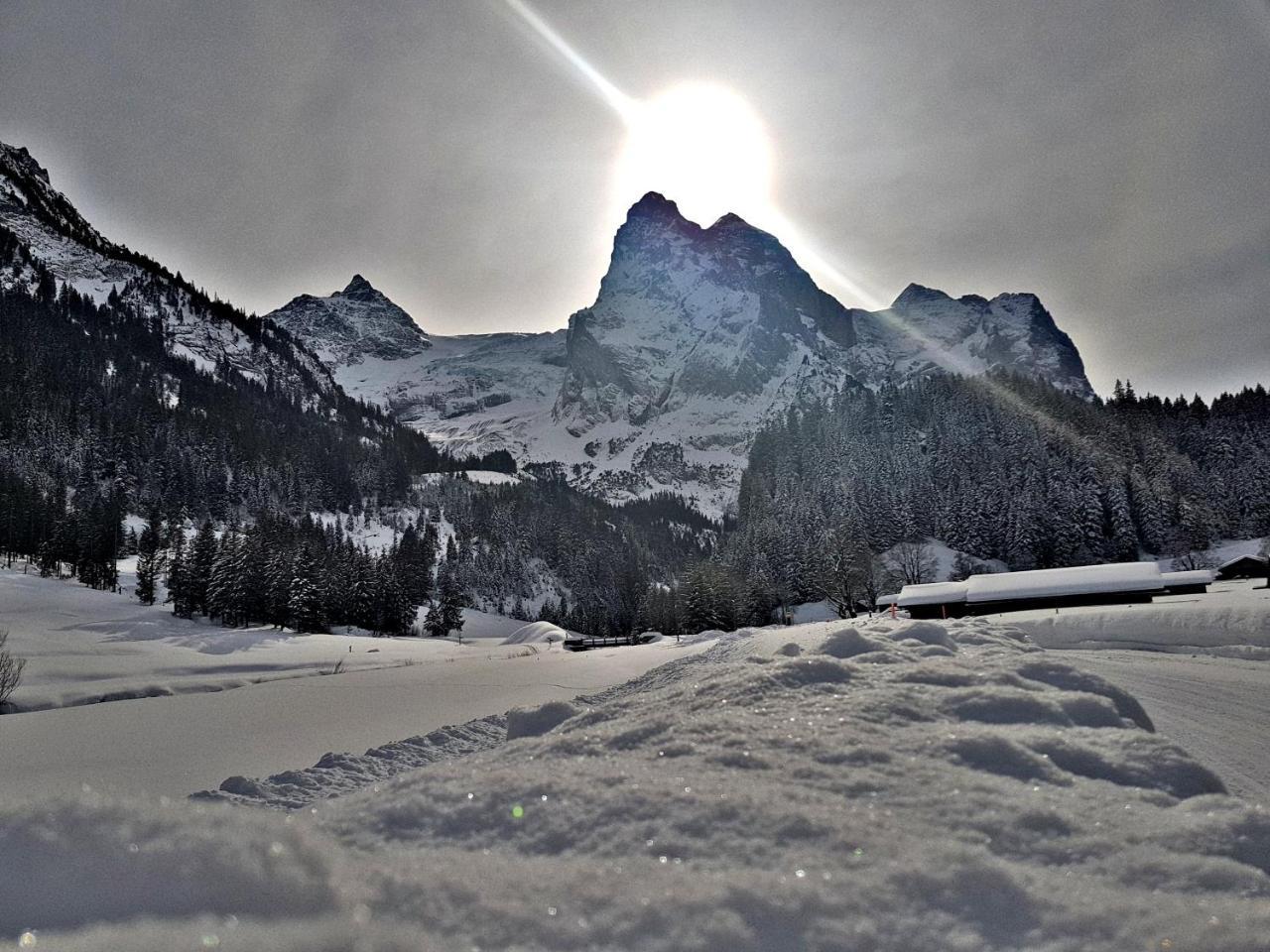 Alpenlodge Willigen Экстерьер фото