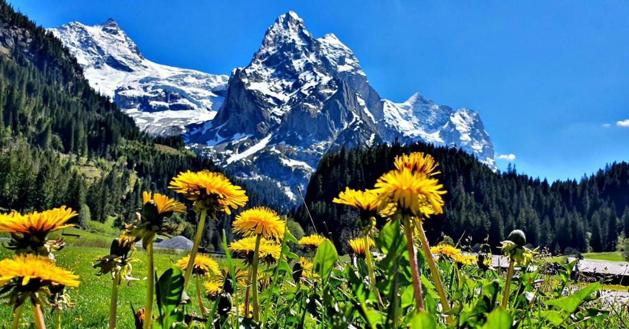 Alpenlodge Willigen Экстерьер фото